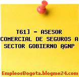 T61] – ASESOR COMERCIAL DE SEGUROS A SECTOR GOBIERNO ¡GNP