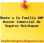 Únete a la familia GNP Asesor Comercial de Seguros Huichapan