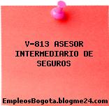 V-813 ASESOR INTERMEDIARIO DE SEGUROS