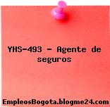 YHS-493 – Agente de seguros