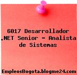 6017 Desarrollador .NET Senior – Analista de Sistemas