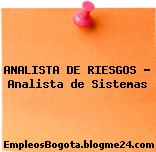 ANALISTA DE RIESGOS – Analista de Sistemas