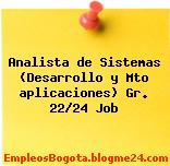 Analista de Sistemas (Desarrollo y Mto aplicaciones) Gr. 22/24 Job