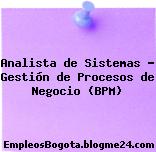 Analista de Sistemas – Gestión de Procesos de Negocio (BPM)