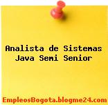 Analista de Sistemas Java Semi Senior