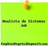 Analista de Sistemas Job