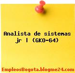 Analista de sistemas jr | (GKO-64)