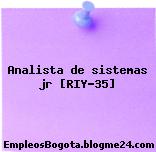 Analista de sistemas jr [RIY-35]