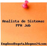 Analista de Sistemas PPM Job