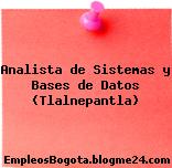Analista de Sistemas y Bases de Datos (Tlalnepantla)