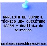ANALISTA DE SOPORTE TÉCNICO JR- QUERÉTARO 12264 – Analista de Sistemas