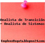 Analista de Transición – Analista de Sistemas
