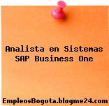 Analista en Sistemas SAP Business One