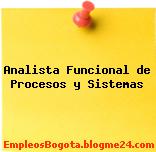 Analista Funcional de Procesos y Sistemas
