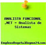 ANALISTA FUNCIONAL .NET – Analista de Sistemas