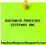 ASESOR/A PROCESOS SISTEMAS AML