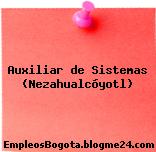 Auxiliar de Sistemas (Nezahualcóyotl)