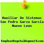 Auxiliar De Sistemas San Pedro Garza García Nuevo Leon