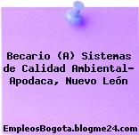 Becario (A) Sistemas de Calidad Ambiental- Apodaca, Nuevo León