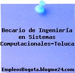 Becario de Ingeniería en Sistemas Computacionales-Toluca