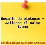Becario de sistemas – Jalisco- El salto $7000