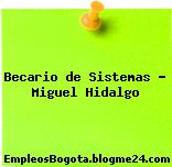 Becario de Sistemas – Miguel Hidalgo