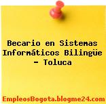 Becario en Sistemas Informáticos Bilingüe – Toluca