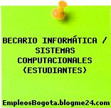 BECARIO INFORMÁTICA / SISTEMAS COMPUTACIONALES (ESTUDIANTES)