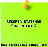 BECARIO SISTEMAS (INGENIERIA)