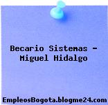 Becario Sistemas – Miguel Hidalgo