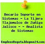 Becario Soporte en Sistemas – La Tijera Tlajomulco de Zuñiga Jalisco – – Analista de Sistemas