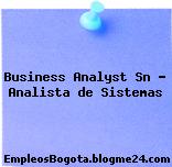 Business Analyst Sn – Analista de Sistemas