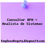 Consultor BPM – Analista de Sistemas