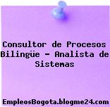 Consultor de Procesos Bilingüe – Analista de Sistemas