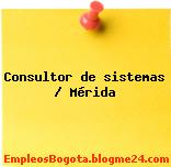 Consultor de sistemas / Mérida