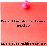 Consultor de Sistemas México
