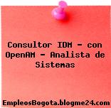Consultor IDM – con OpenAM – Analista de Sistemas