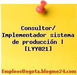 Consultor/ Implementador sistema de producción | [LYY021]