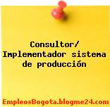 Consultor/ Implementador sistema de producción