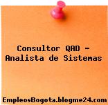 Consultor QAD – Analista de Sistemas