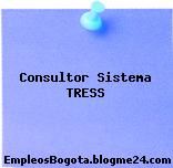 Consultor Sistema TRESS