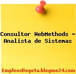Consultor WebMethods – Analista de Sistemas
