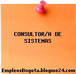 CONSULTOR/A DE SISTEMAS
