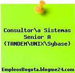 Consultor\a Sistemas Senior A (TANDEM\UNIX\Sybase)