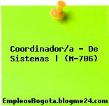 Coordinador/a – De Sistemas | (M-706)
