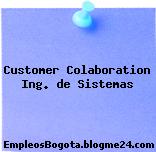 Customer Colaboration Ing. de Sistemas