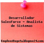 Desarrollador Salesforce – Analista de Sistemas