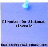 Director De Sistemas Tlaxcala