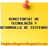 DIRECTOR(A) DE TECNOLOGÍA Y DESARROLLO DE SISTEMAS