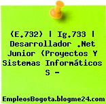 (E.732) | Ig.733 | Desarrollador .Net Junior (Proyectos Y Sistemas Informáticos S …